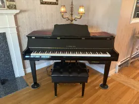 DGT2IXG YAMAHA Grandtouch Digital Baby Piano