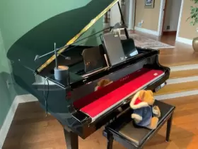 DGT7 YAMAHA Grantouch Disklavier Piano #2