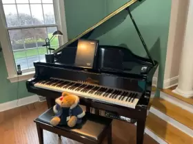 DGT7 YAMAHA Grantouch Disklavier Piano