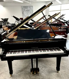 F5271915 YAMAHA Piano Ebony Player Lx