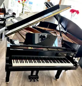 F5320536 YAMAHA Piano Ebony Polish