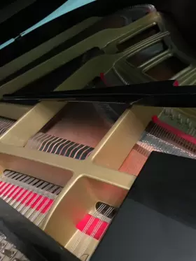 GH1B YAMAHA Piano #2