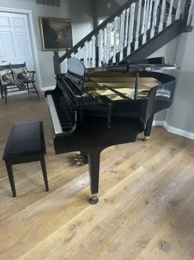 GH1FP282569 YAMAHA Baby Piano Discerning