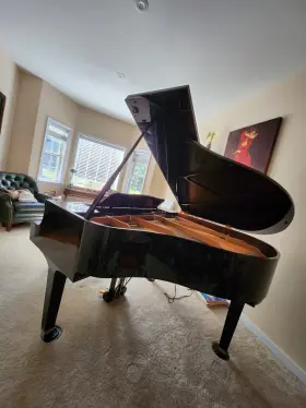 J2633731 YAMAHA Baby Piano Ebony