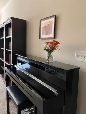 NU1X YAMAHA Ebony Avantgrand Hybrid Piano #3