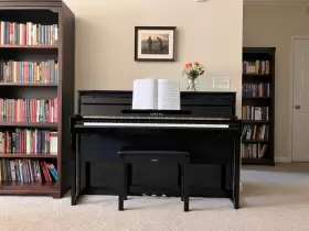 NU1X YAMAHA Ebony Avantgrand Hybrid Piano