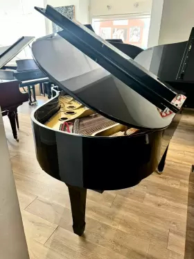 014476 YOUNG CHANG Piano Ebony #2
