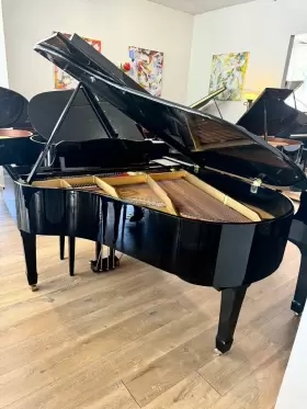 014476 YOUNG CHANG Piano Ebony #3