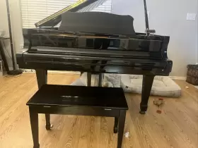 111066 YOUNG CHANG Baby Piano Ebony Bench #3
