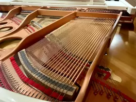 117757 YOUNG CHANG Baby Piano #3