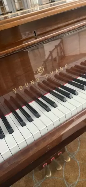 G-150 YOUNG CHANG Baby Piano #2