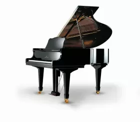 G-150 YOUNG CHANG Baby Piano #3