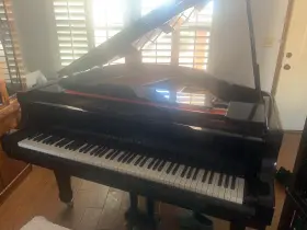 Young Chang G102773 Baby Grand Piano Used