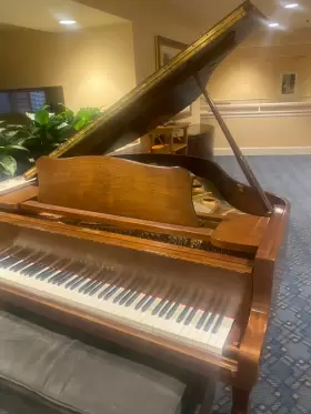 G157 YOUNG CHANG Baby Piano Finish #3