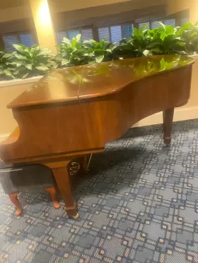 G157 YOUNG CHANG Baby Piano Finish