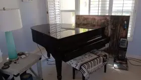 PD-520 YOUNG CHANG Baby Pianos Player #2