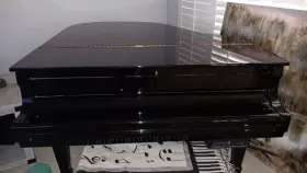 PD-520 YOUNG CHANG Baby Pianos Player