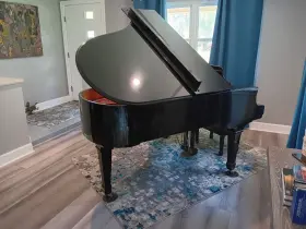 PG185 YOUNG CHANG Pramberger Baby Piano #2