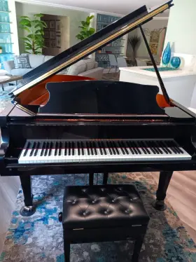 PG185 YOUNG CHANG Pramberger Baby Piano