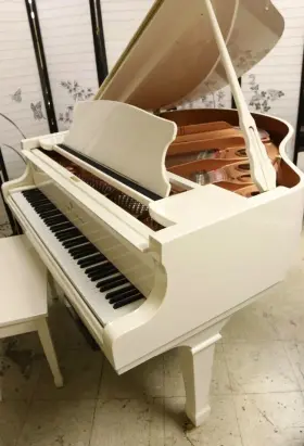 YG0129608 YOUNG CHANG Pramberger Baby Piano Iq Bisc Player