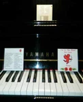 Im In The Mood For Love Songs Piano Solos All Yamaha Pianodisc Player Pianos. Fixed Price $29.95.