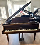 Steinway M Grand Piano 5'7" Satin Walnut. Fixed Price $7995.00.
