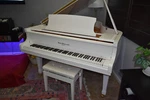 Hallet And Davis White Piano Finish Baby Grand. Fixed Price $5701.00.