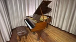 Golden Era Steinway Model M Grand Piano #256922. Fixed Price $25150.00.