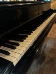 Mason & Hamlin Model Bb Grand Piano 1920 Boston #29337. Fixed Price $66500.00.