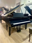 Samick Sg-185 Grand Piano 6'1" Satin Ebony. Fixed Price $7995.00.