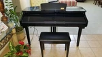 Used Artesia Ag-30 Micro Baby Grand Digital Piano 88-key Deluxe Bundle Maxstrata. Fixed Price $1399.98.