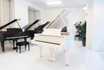 Steinway O 180 (5'10"). Fixed Price $85500.00.