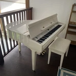Digital Baby Grand Piano Samick Sxp-511. Fixed Price $2000.00.