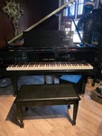 Pearl River Gp160 Baby Grand Piano 5'3" Ebony Gloss Used 2001 Spruce Plate. Fixed Price $3500.00.