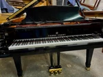 Young Chang G185 Grand Piano - 6'1" Pristine Video. Fixed Price $8999.00.