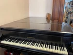 Baldwin 7' Grand, Sf10, Glorious Sound, 1973 Original Owner, Exc Condition. Fixed Price $24500.00.