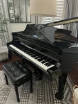 Hallet, Davis & Co 152c Baby Grand Piano. Fixed Price $4999.00.