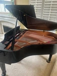 Young Chang Medium Grand Piano Ready For Its Next Home. Fixed Price $5500.00.