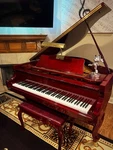 Maeari Baby Grand Piano Delivery Options Available. Fixed Price $4500.00.