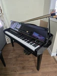 Samick Digital Baby Grand Piano. Fixed Price $1350.00.