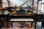 2001 Yamaha C3l Professional Grand Piano - Reconditioned In Japan. Fixed Price $20828.00.