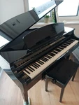 Yamaha Clavinova Clp 665gp Inkl. Hocker Und Musikb Cher. Fixed Price $3400.00.