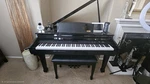 Artesia Ag-50 Baby Grand Digital Piano 88 Keys Usb Bench Black. Fixed Price $2200.00.