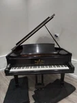 Steinway Model A Grand Piano Ebony Satin Finish Serial #. Fixed Price $10500.00.