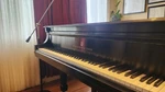 Steinway & Sons Model B 6'10.5'' Grand Piano. Fixed Price $38000.00.