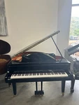 Yamaha Gb1 Ebony Polish. Fixed Price $9995.00.