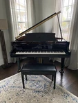 Essex By Steinway Baby Grand Piano - Egp-155c. Fixed Price $6500.00.