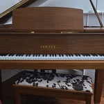 Yamaha Walnut Finish Grand Piano With Bench 88 Keys 3 Pedals Brown. Fixed Price $6900.00.