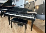 Kawai Dg30 Digital Grand Piano. Fixed Price $8399.00.