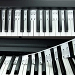 88 Key Full Size Piano Rake Key, Keyboard Notes For Beginner. Fixed Price $10.95.